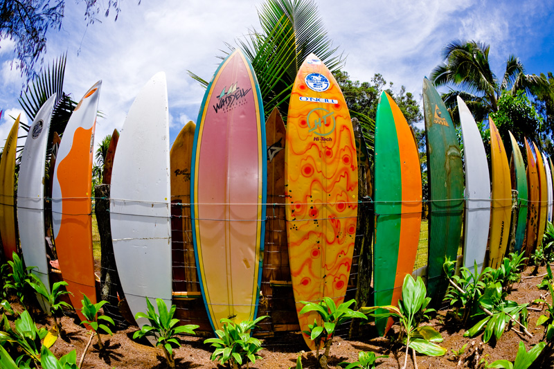 Fence made of surfboards on Maui