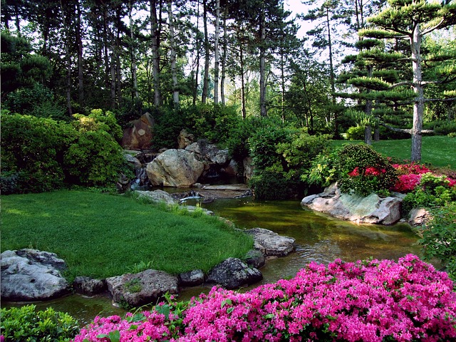 Landscaped Garden