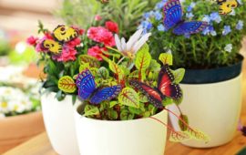Garden Butterflies Stakes Indoors