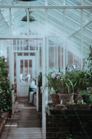 Growing Plants in a Greenhouse