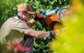 Lawnmower Maintenance Tips