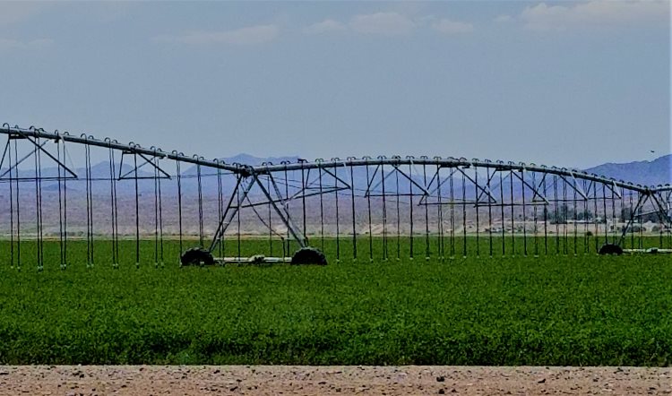 Irrigation system on farm