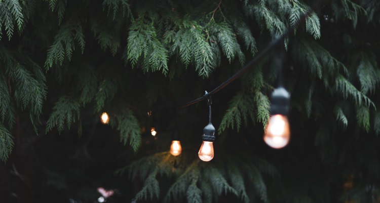 Hanging Garden Lights