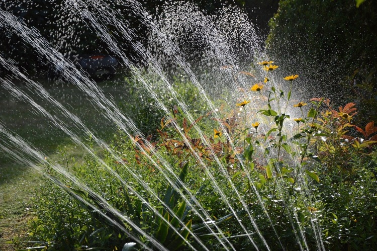 Water Sprinkler System in Garden